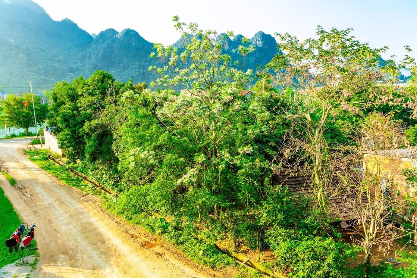Phong Nha Cherish House المظهر الخارجي الصورة